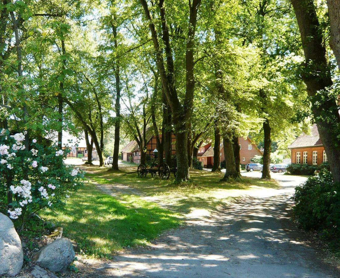 Ferienpension Lindenhof - Ferienwohnungen In Der Lueneburger Heide Marxen am Berge 외부 사진