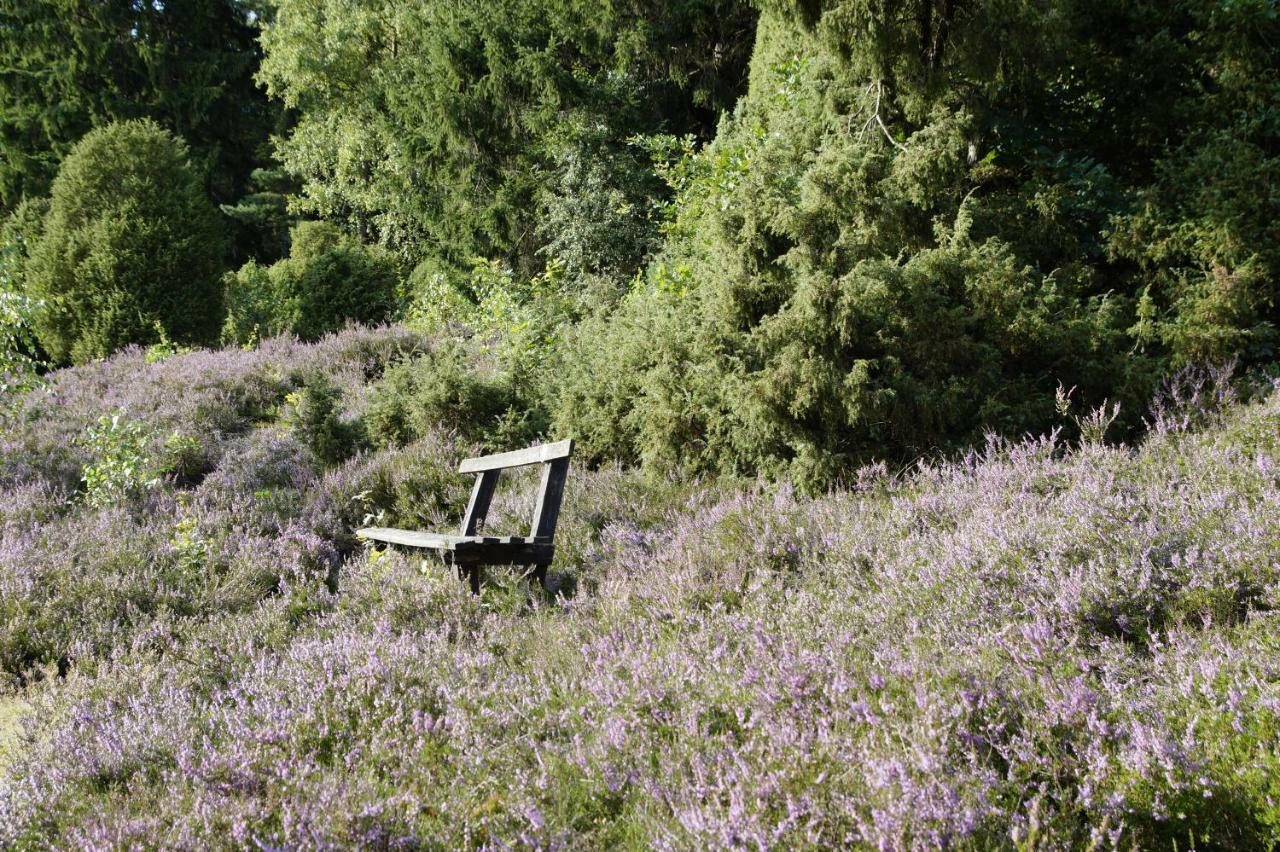 Ferienpension Lindenhof - Ferienwohnungen In Der Lueneburger Heide Marxen am Berge 외부 사진